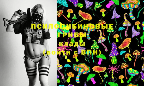 кокс Каменка