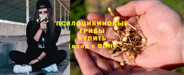 ГАЛЛЮЦИНОГЕННЫЕ ГРИБЫ Каменногорск