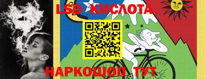 СК Новокубанск