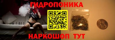 СК Новокубанск
