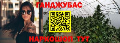 СК Новокубанск