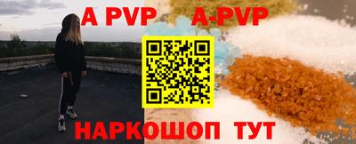 СК Новокубанск