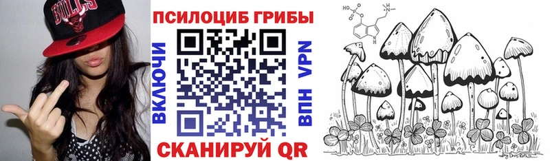 МЕГА как войти  Химки  Псилоцибиновые грибы ЛСД 