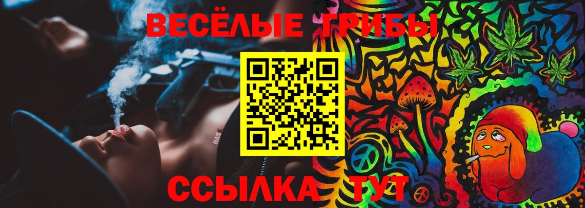 Псилоцибиновые грибы мухоморы  Вход с VPN  Химки 
